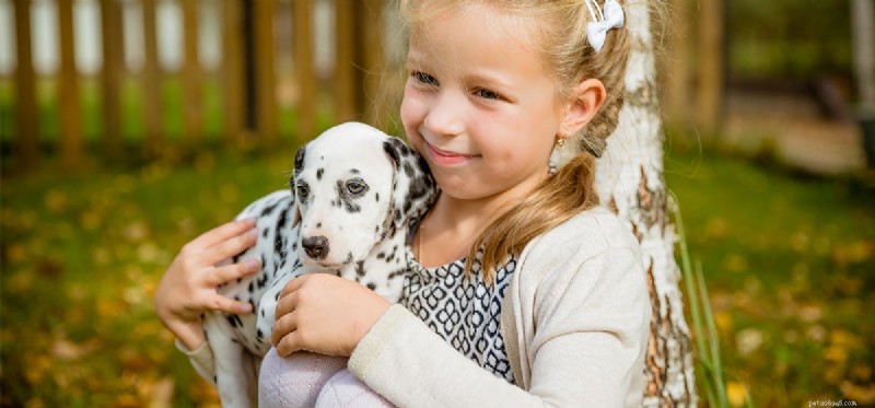 Do Dogs Sense Their Owners  Love? Unveiling Canine Insight into Human Affection