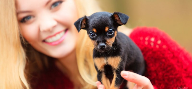 How Dogs Detect Human Emotions: A Scientific Insight
