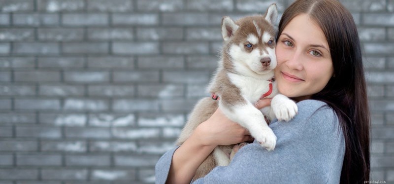 Do Dogs Detect Alkanes? Understanding Their Olfactory Sensitivity