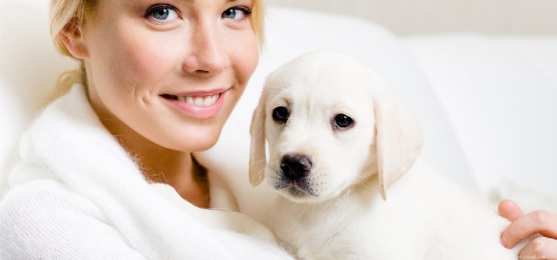 Do Dogs Really Detect Blood Sugar Levels? Discover the Science