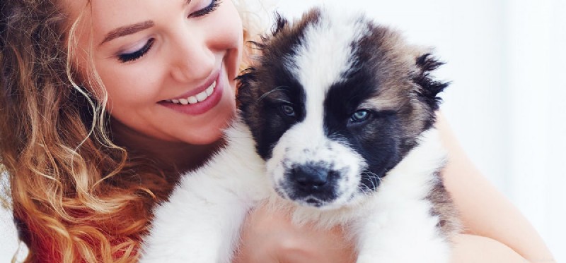 Can Trained Dogs Detect Breast Cancer Early?