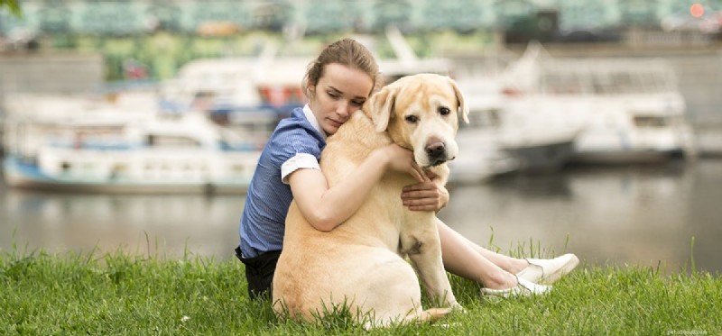 Do Dogs Detect Human Depression Through Their Sense of Smell?