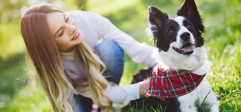 How Dogs Detect Human Emotions Through Their Sense of Smell