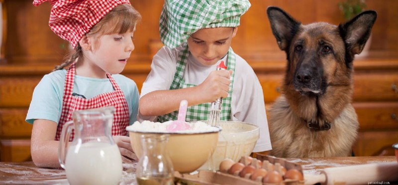 Do Dogs Detect Gluten? Exploring Their Remarkable Olfactory Ability