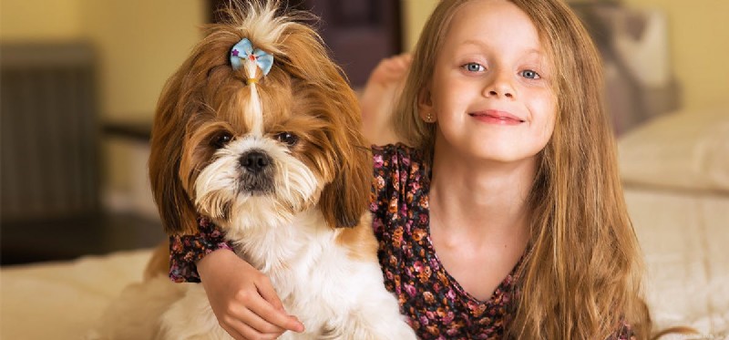 Can Dogs Safely Enjoy Cheese? A Guide to Healthy Treats