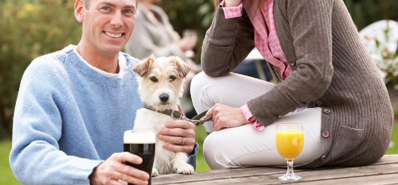 Can Dogs Safely Enjoy Citrus Fruits? A Guide to Your Pup’s Taste and Health