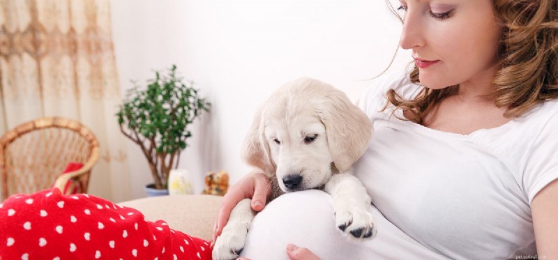 Do Dogs Really Predict Baby Gender? Insights & Facts