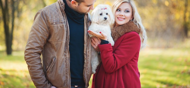 Do Dogs Really Predict Baby Gender? Insights & Facts