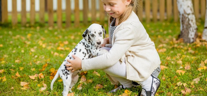 Can Dogs Sense Time Passage? Exploring Their Awareness of Time