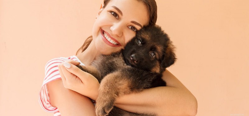 Can Dogs Detect Your Love? Insights Into Canine Emotional Awareness