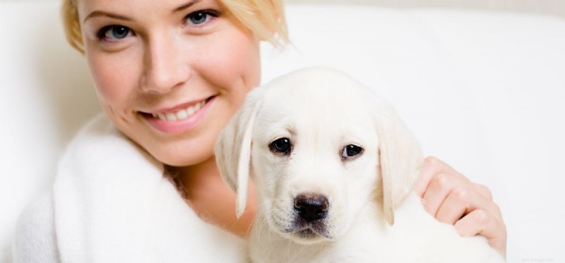 Can Dogs Detect Your Love? Insights Into Canine Emotional Awareness