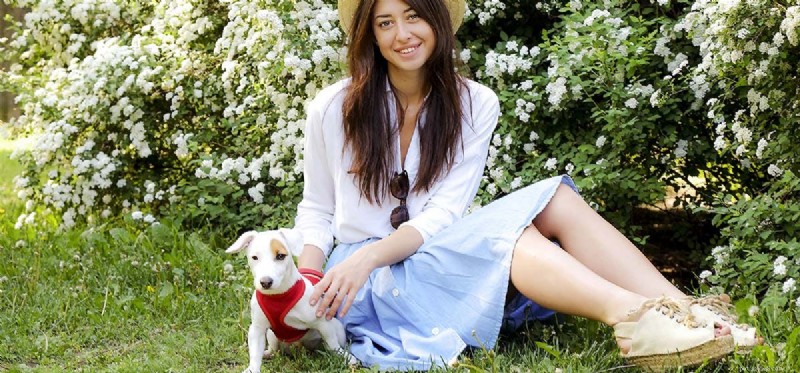 Can Dogs Detect Your Love? Insights Into Canine Emotional Awareness