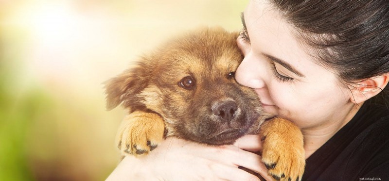 Do Dogs Detect When You re Ill? Proven Ways They Sense Your Health
