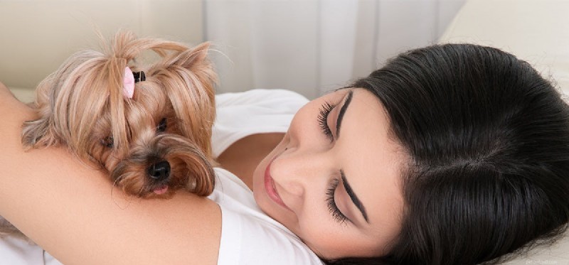 Do Dogs Distinguish Babies from Adults? Understanding Their Perception