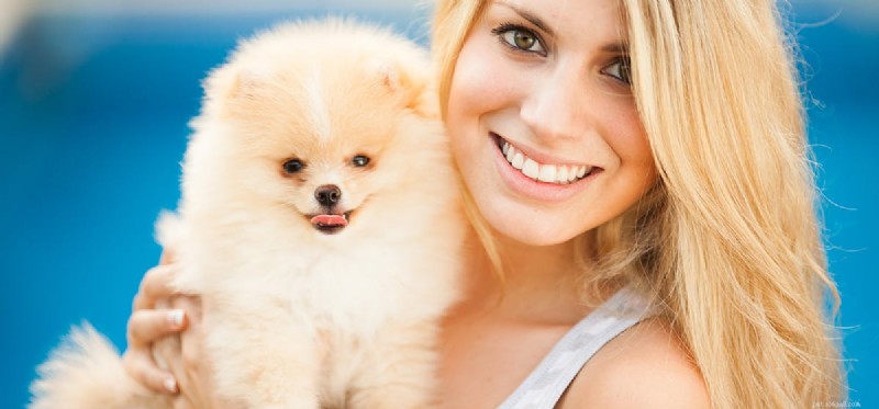 Do Dogs Distinguish Babies from Adults? Understanding Their Perception