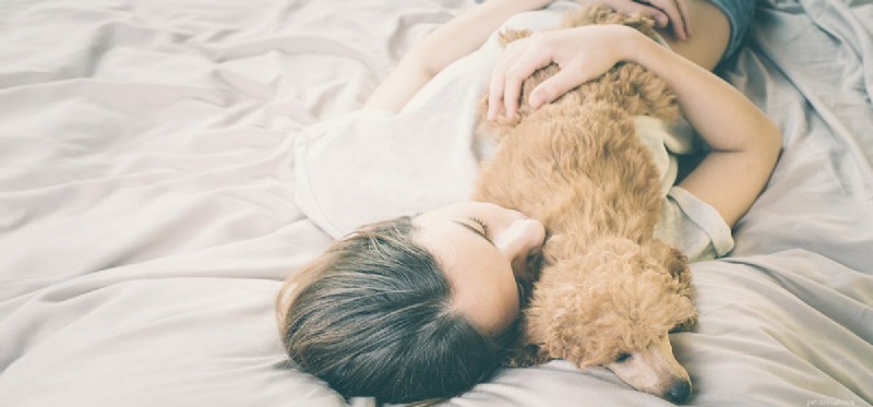 Can Dogs Detect Your Illness? The Science Behind Their Super Sniffers