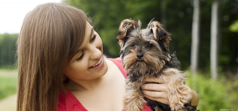 Do Dogs Truly Love You? Spotting Their Genuine Affection
