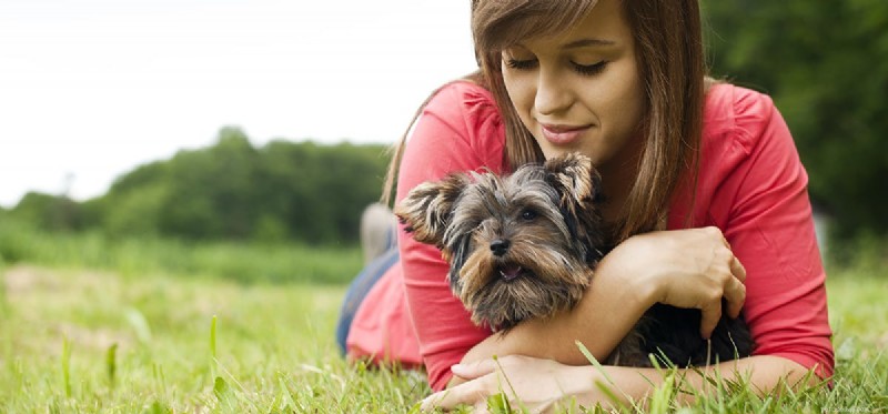 Do Dogs Truly Love You? Spotting Their Genuine Affection