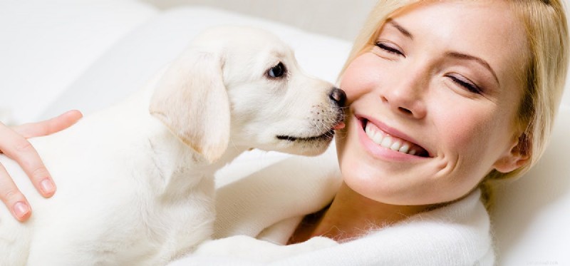 How Dogs Read Your Emotions: A Trusted Guide