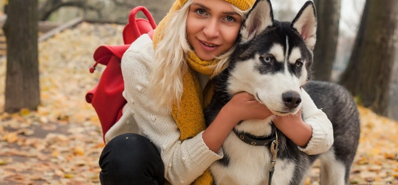Do Dogs Think Like Humans? Unveiling Scientific Insights