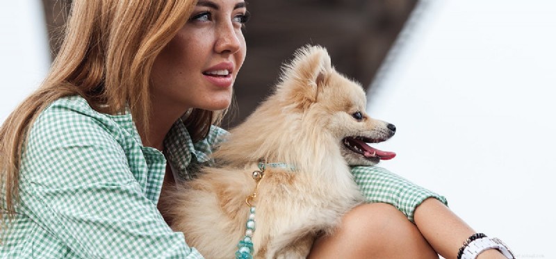 Do Dogs Think Like Humans? Unveiling Scientific Insights