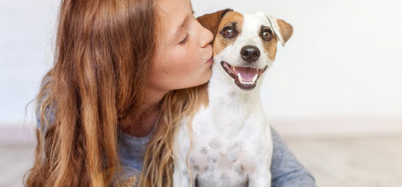 Do Dogs Experience Humor? Exploring Canine Laughter and Playful Signals