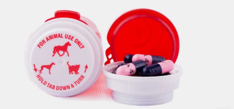 Is Benadryl Safe for Dogs? Vet‑Approved Guidance on Dosage and Usage