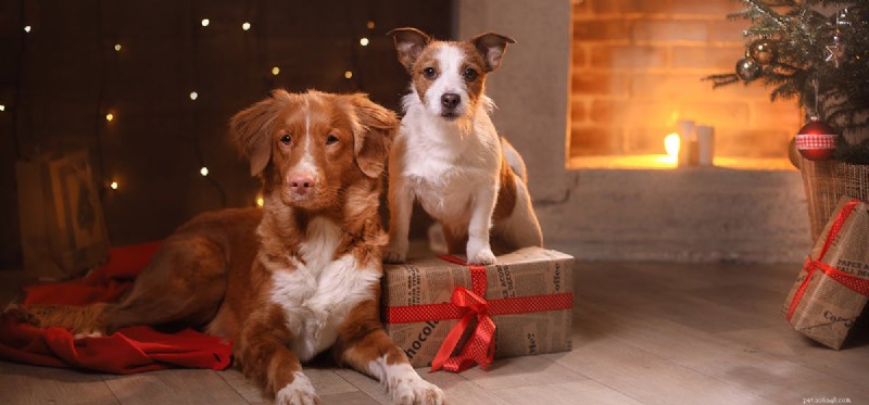 How Well Do Dogs Detect Fire Alarms?