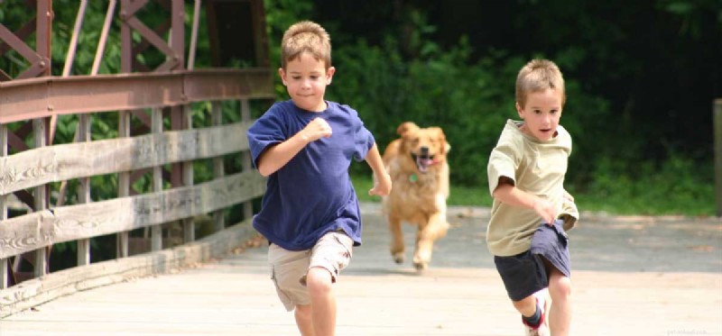 Discover the Record-Breaking Speed of Dogs: Top Breeds & Their Amazing Running Capabilities