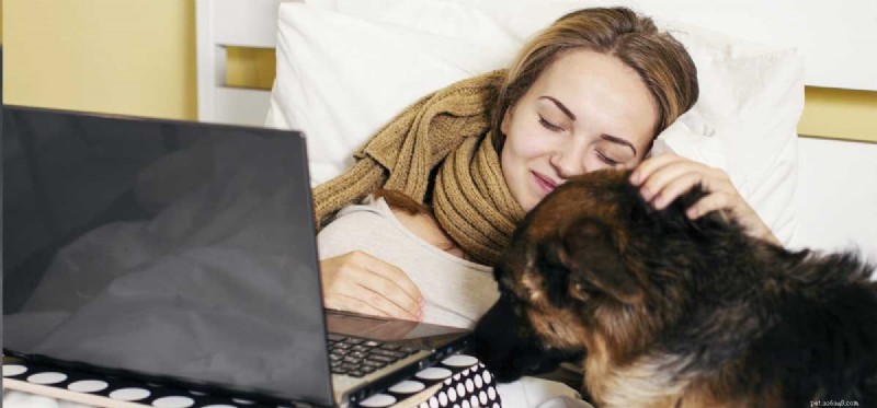 Does Your Dog Have Natural Healing Powers?