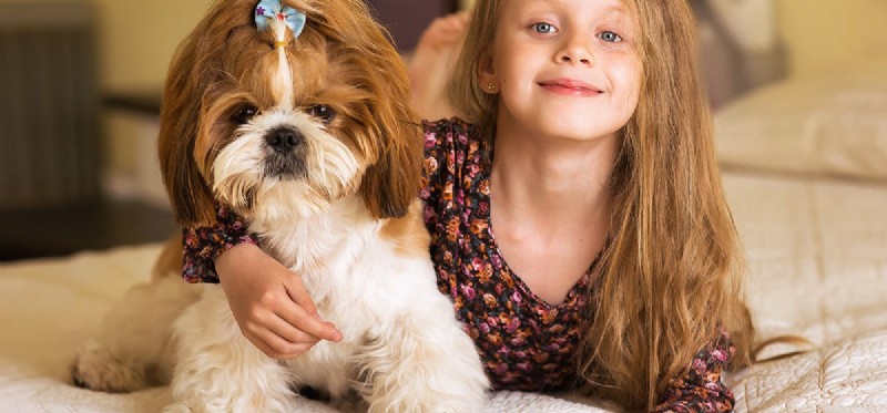 Is Your Dog Showing Impatience? Spot the Signs & Fix It