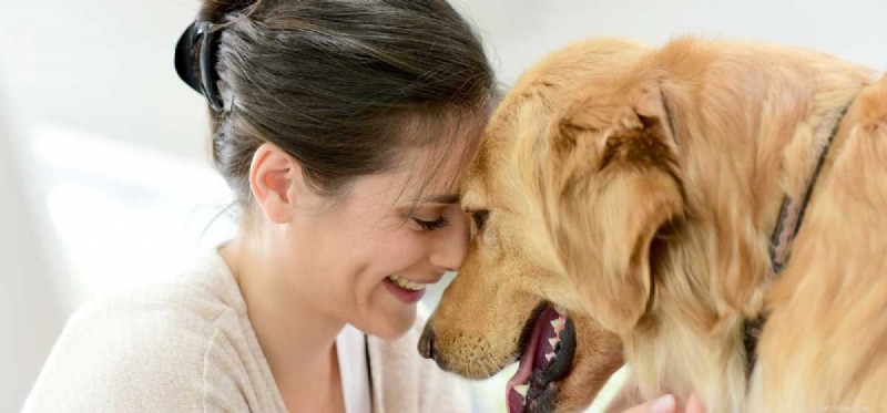 How Dogs Perceive the World: Unveiling Their Extraordinary Senses