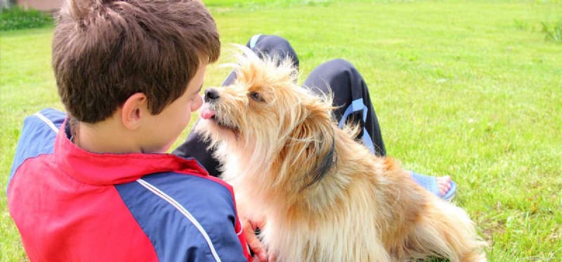 How Dogs Perceive the World: Unveiling Their Extraordinary Senses