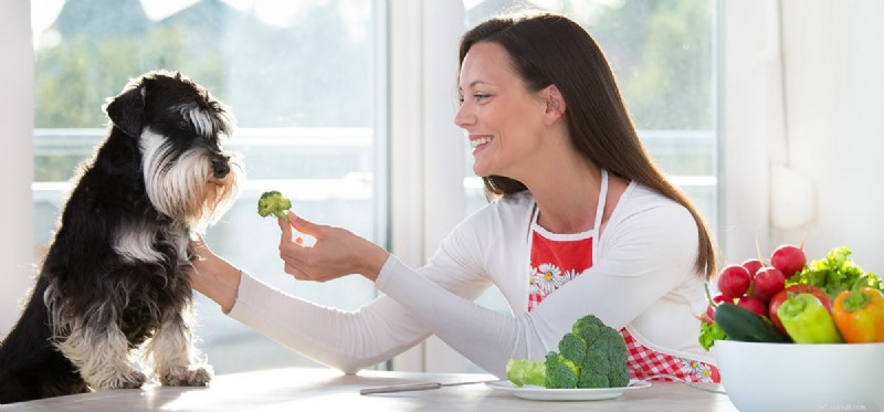 Safe Human Foods for Dogs: A Comprehensive Guide