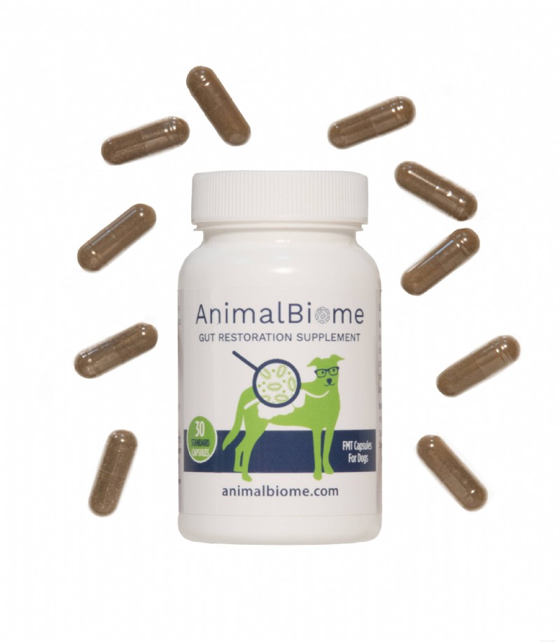 Enhance Your Pet’s Health with a Fecal Microbiota Transplant (FMT)