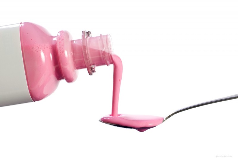 Pepto Bismol for Dogs: Safety, Dosage, and Vet Guidance