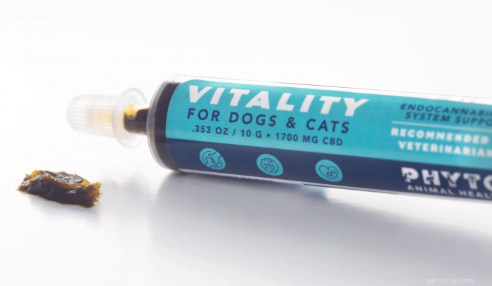 CBD for Dogs: 3 Trusted Products to Relieve Symptoms
