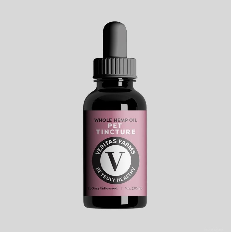 CBD for Dogs: 3 Trusted Products to Relieve Symptoms