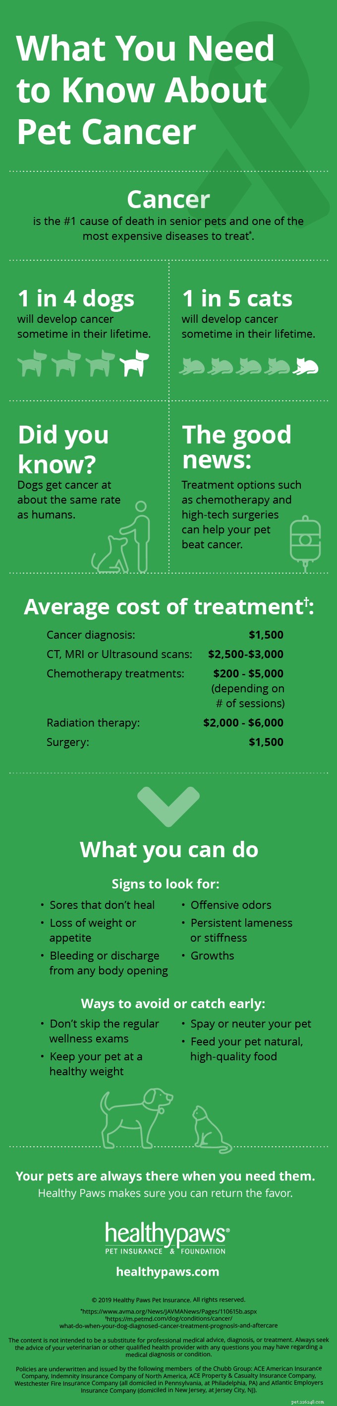 Essential Guide to Pet Cancer: Symptoms, Diagnosis, and Treatment Options