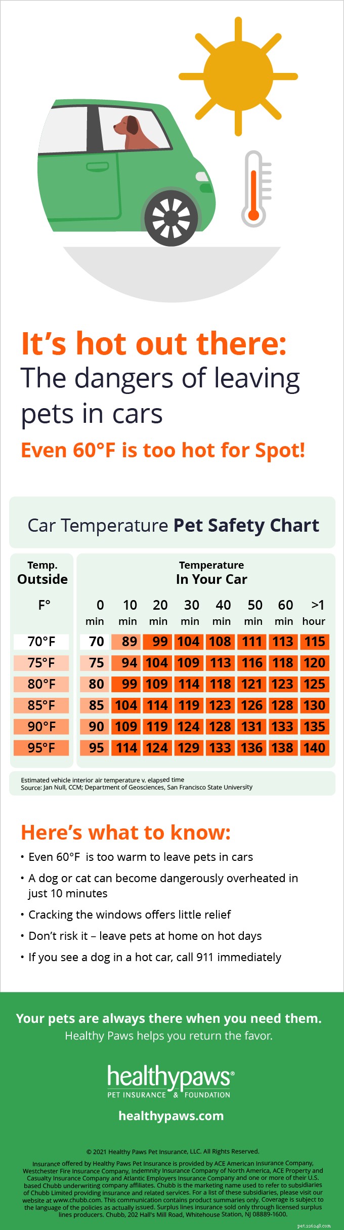 Pet Safety in Hot Cars: What Every Owner Must Know