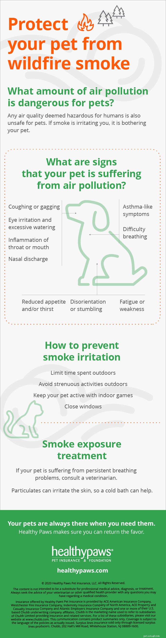 Protect Your Pets: Understanding the Impact of Wildfire Smoke on Animal Health