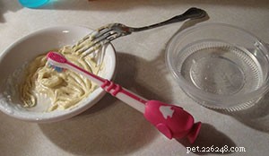 How to Make Effective Homemade Dog Toothpaste for a Healthier Smile