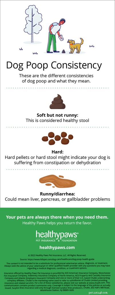 Veterinary Guide: Spotting Healthy Dog Poop to Detect Health Issues