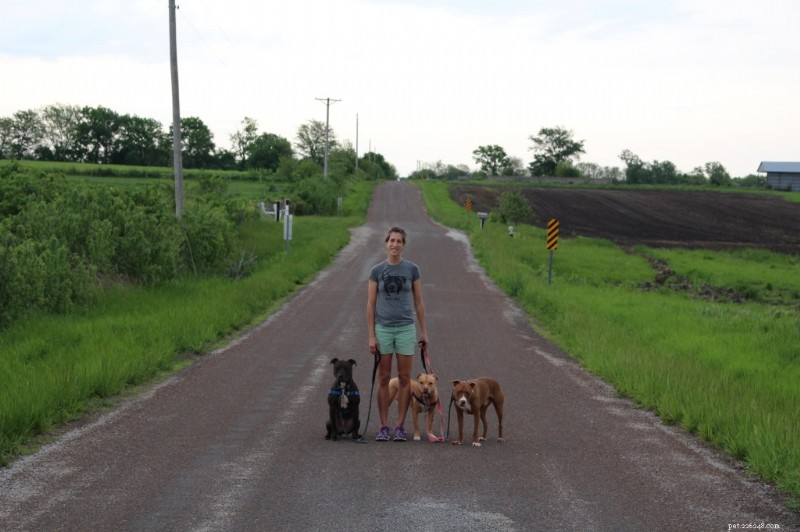 Celebrating Pit Bulls on National Pit Bull Awareness Day: Facts, Support, and Advocacy