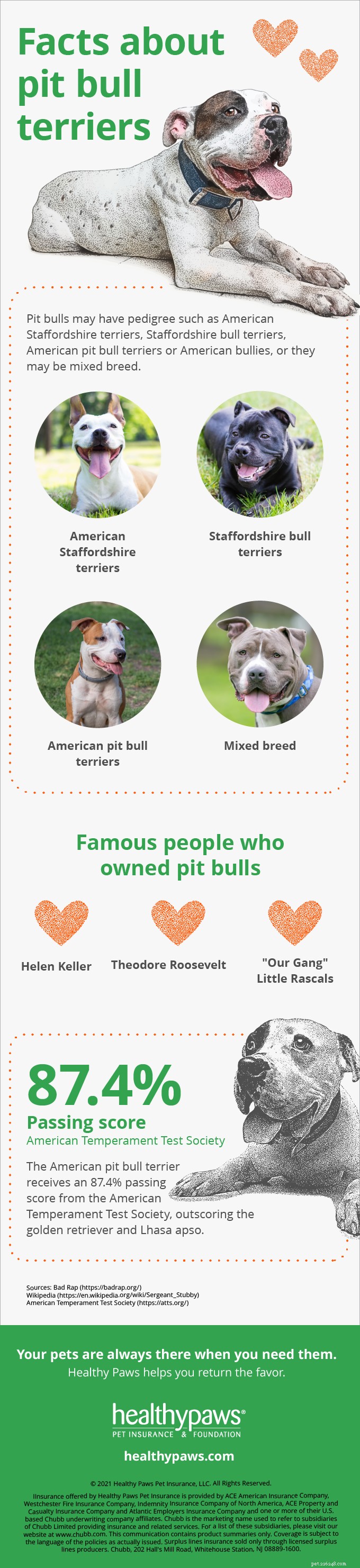 Pit Bull Awareness Day: Trusted Facts & Insights About the Breed