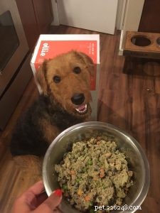 Human‑Grade Dog Food: Premium Nutrition Delivered Fresh to Your Door