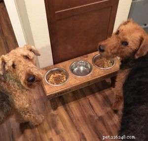 Human‑Grade Dog Food: Premium Nutrition Delivered Fresh to Your Door