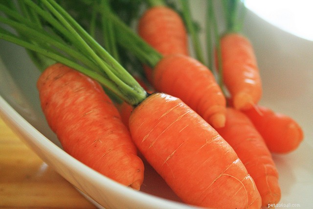 Boost Health with 7 Essential Superfoods for You and Your Dog