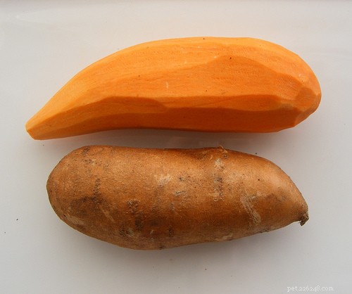 Boost Health with 7 Essential Superfoods for You and Your Dog