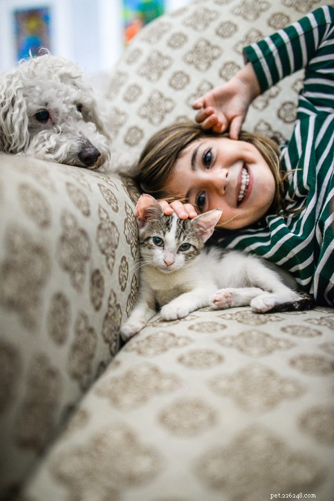 Boost Your Pet’s Heart Health: A Guide to Nutrient‑Rich Diets